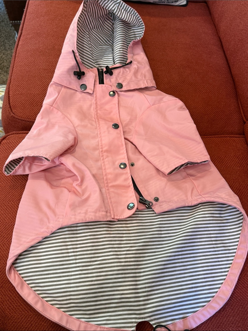 Pink Striped-Lined Hooded Dog Raincoat